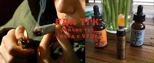 прущий лед Богданович