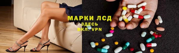 прущие грибы Балахна