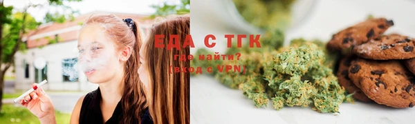 индика Балабаново