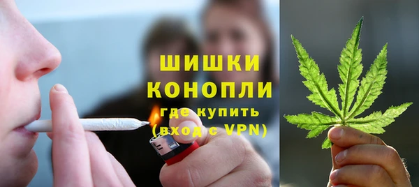 индика Балабаново