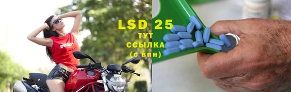 прущий лед Богданович