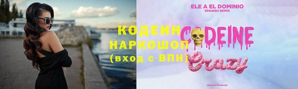 прущие грибы Балахна