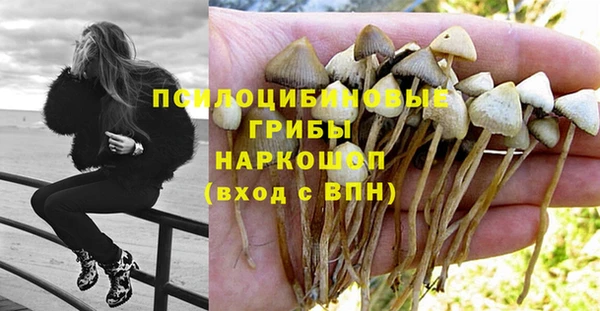 прущие грибы Балахна