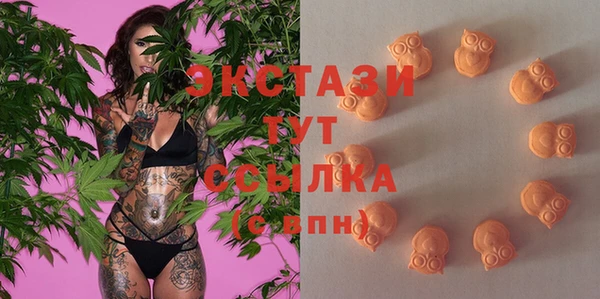 спиды Богородицк
