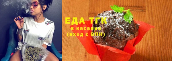 спиды Богородицк