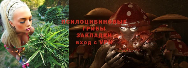 индика Балабаново