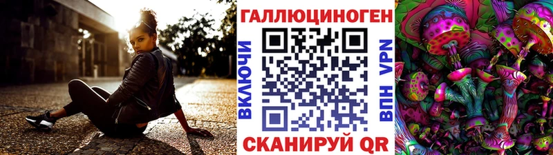 это как зайти  Спасск-Дальний  Псилоцибиновые грибы Cubensis  где найти  