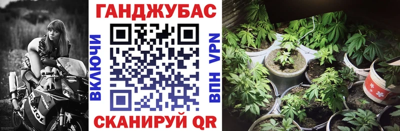 где купить наркотик  Спасск-Дальний  Канабис Ganja 